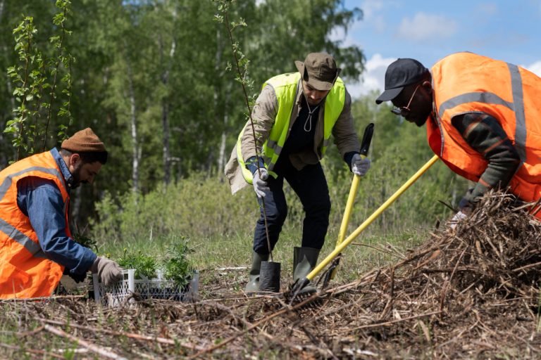 Workers tending a wooded area with hand tools